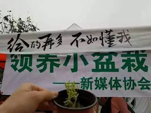 文化传播类 新媒体协会