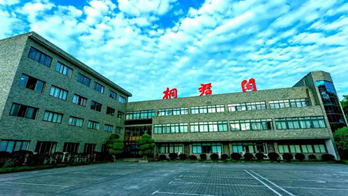 百年中药品牌的 变 与 不变