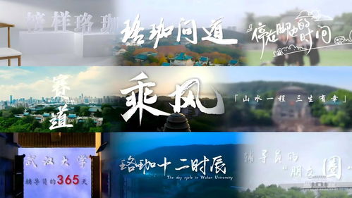 以心铸魂 用情筑梦 着力培养堪当大任的时代新人