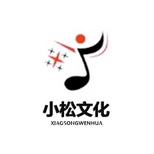 河南小松文化传媒