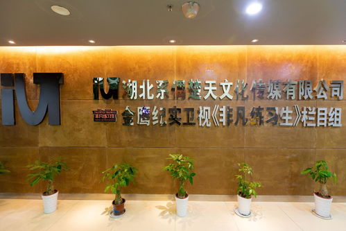 湖北系偶楚天文化传媒