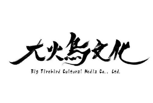 广州大火鸟文化传媒
